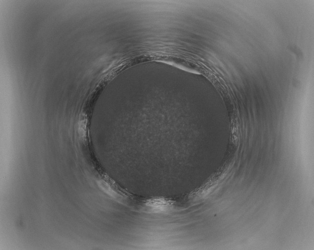 X0000115530231200911201726