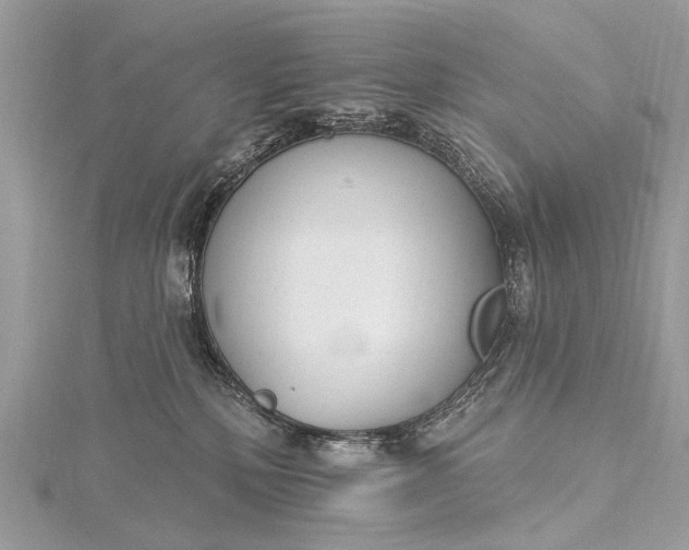 X0000115530232200911201726