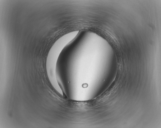 X0000115530233200911201726