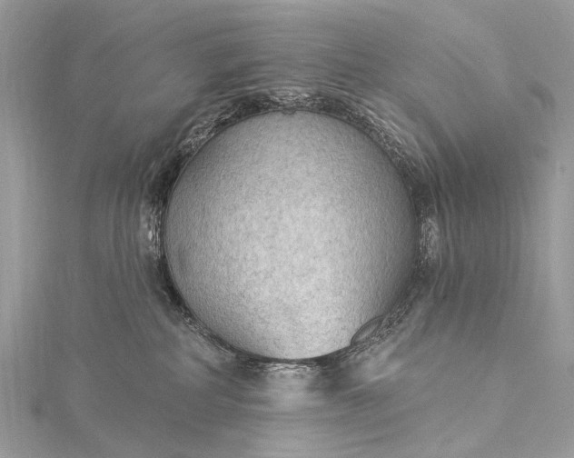 X0000115530234200911201726