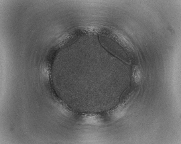 X0000115530235200911201726