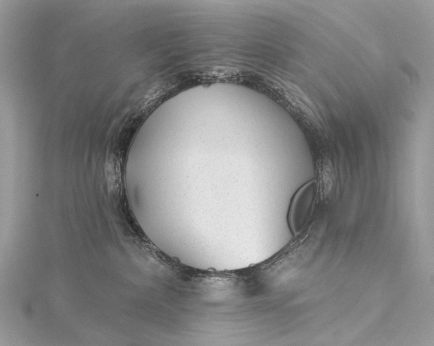 X0000115530236200911201726