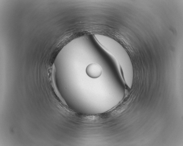 X0000115530237200911201726