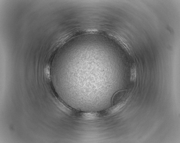 X0000115530238200911201726