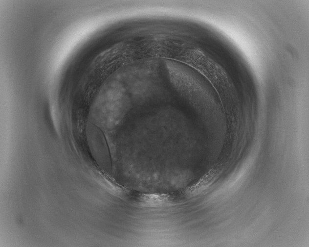 X0000115530239200911201726