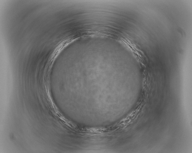 X0000115530241200911201725