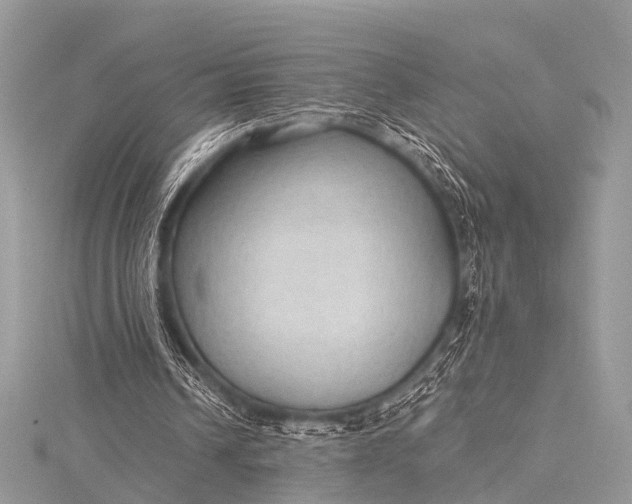 X0000115530242200911201725