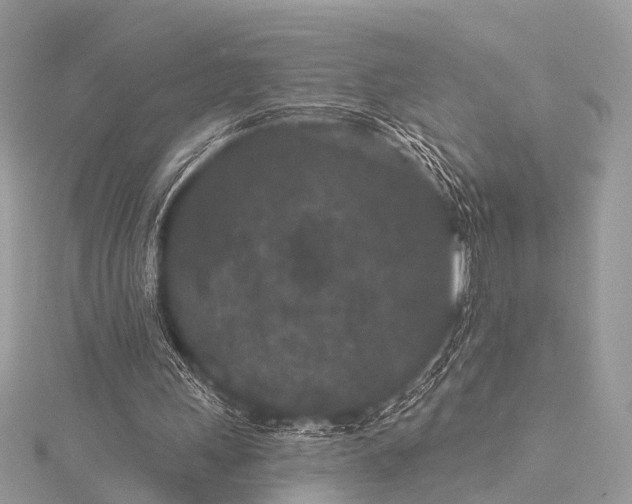 X0000115530243200911201725