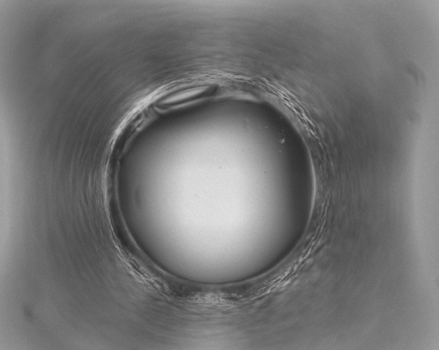 X0000115530244200911201725