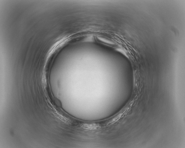 X0000115530245200911201725