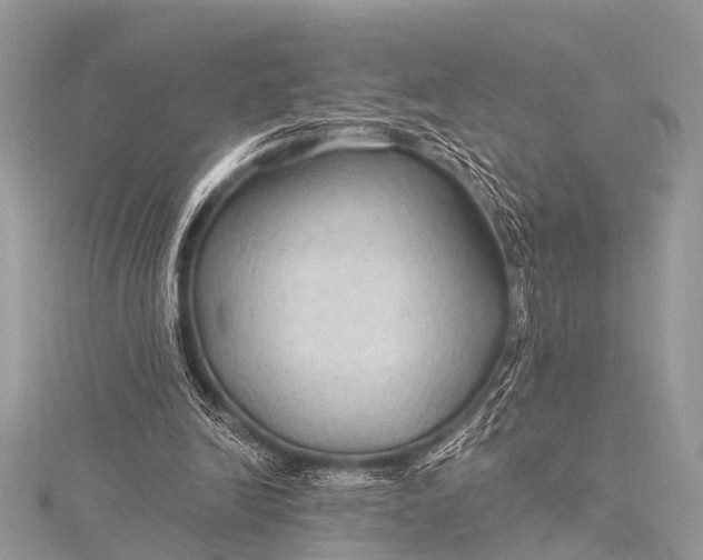 X0000115530246200911201725