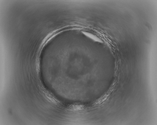 X0000115530247200911201725