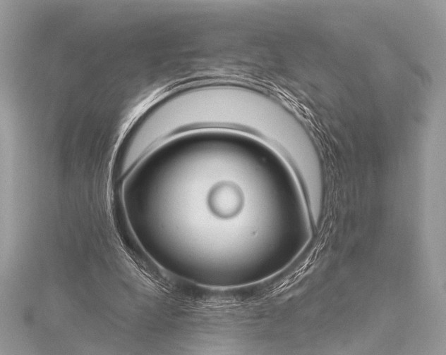 X0000115530248200911201725