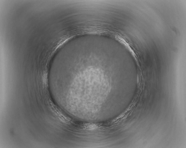 X0000115530249200911201725