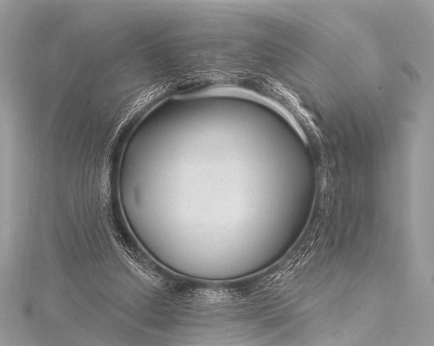 X0000115530250200911201725