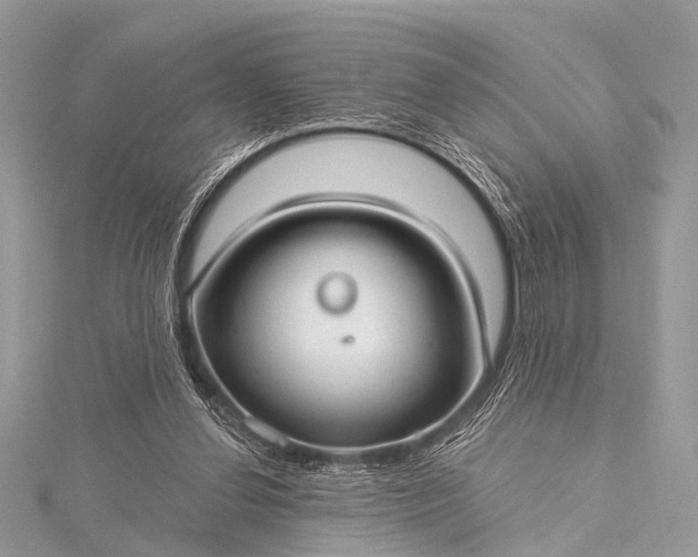 X0000115530252200911201725