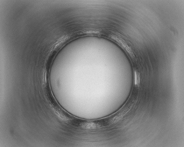 X0000115530253200911201725