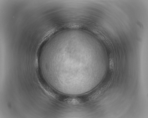 X0000115530254200911201725