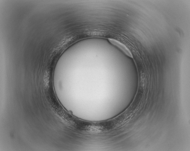 X0000115530255200911201725