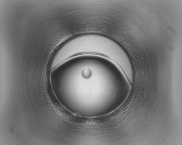 X0000115530256200911201725