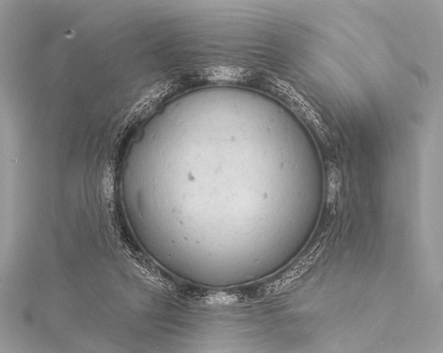 X0000115530257200911201725