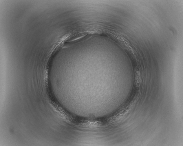 X0000115530260200911201725