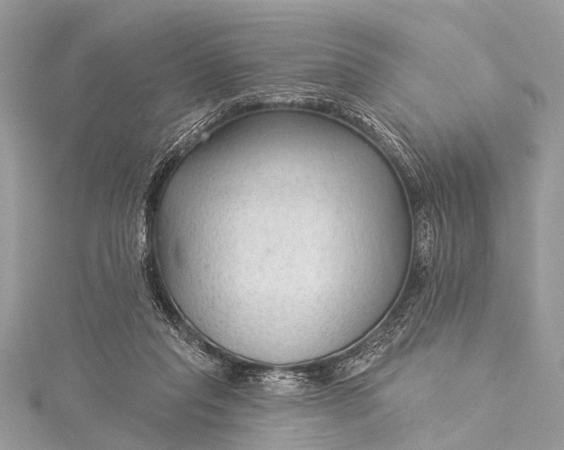 X0000115530261200911201725