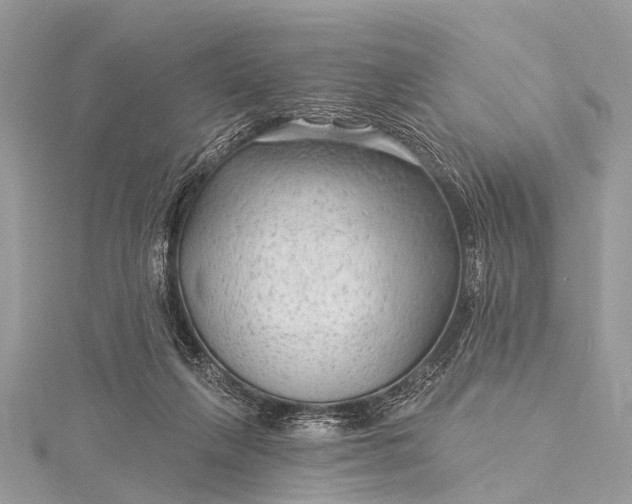 X0000115530263200911201725