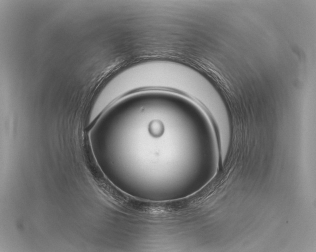 X0000115530264200911201725