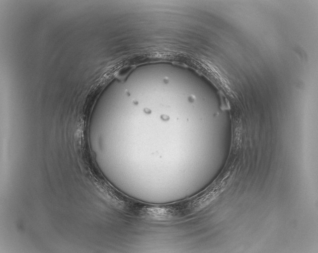 X0000115530265200911201725