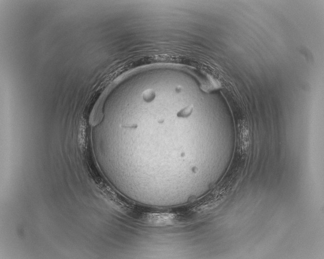 X0000115530266200911201725