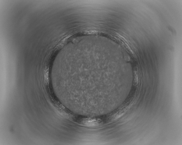 X0000115530267200911201725