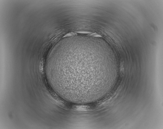 X0000115530268200911201725