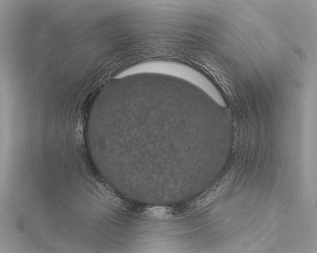 X0000115530269200911201725