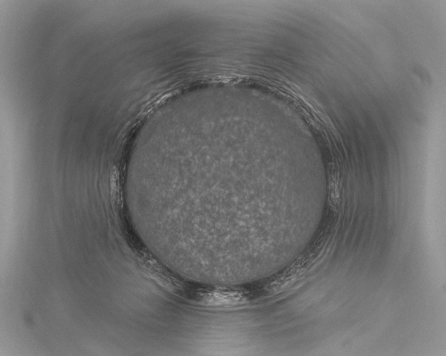 X0000115530270200911201725