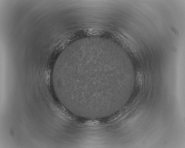 X0000115530271200911201725