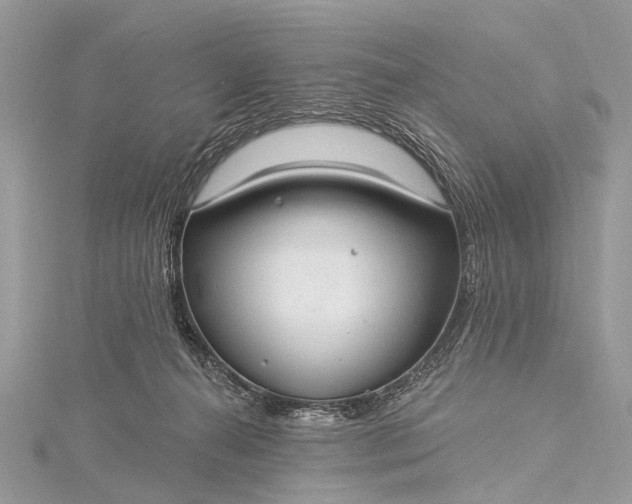 X0000115530272200911201725