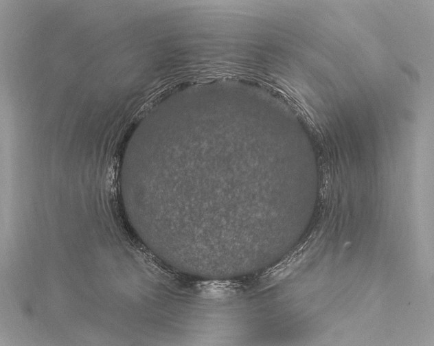 X0000115530273200911201725