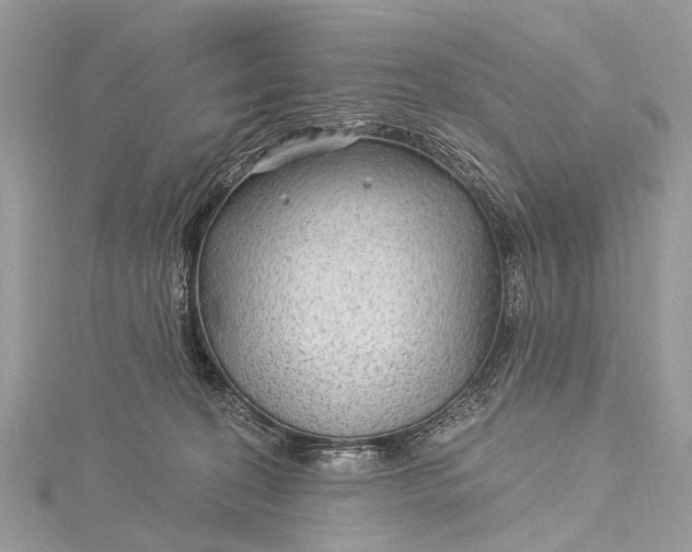 X0000115530274200911201725