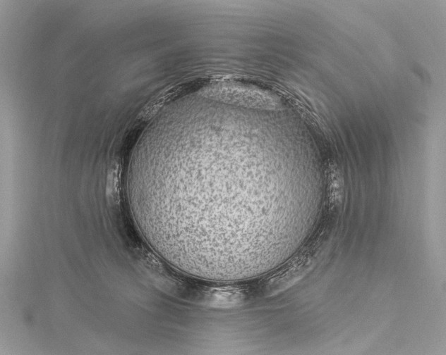 X0000115530275200911201725