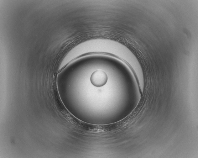 X0000115530276200911201725