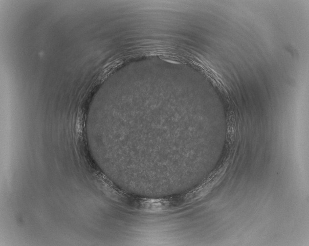 X0000115530277200911201725