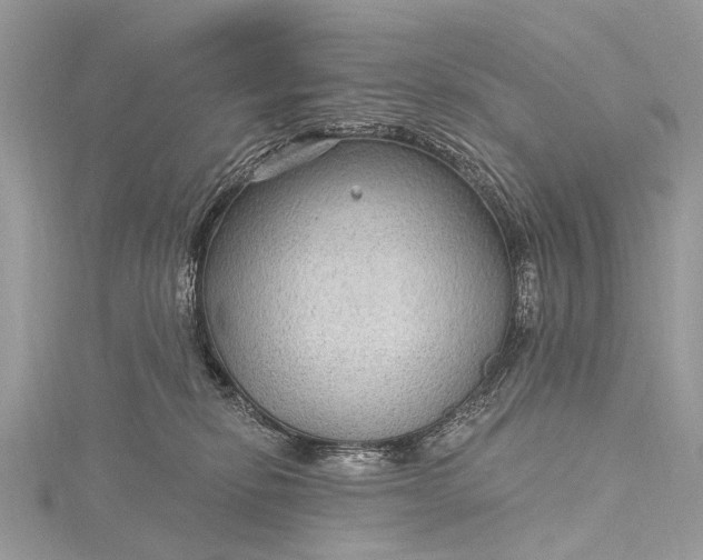 X0000115530278200911201725