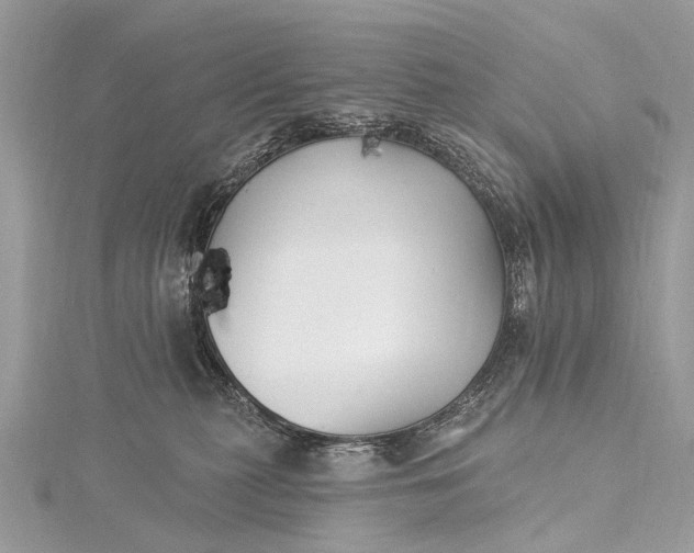 X0000115530279200911201726