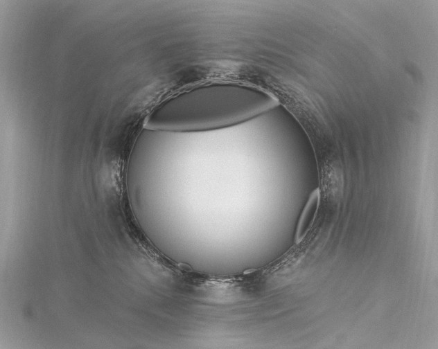 X0000115530280200911201726