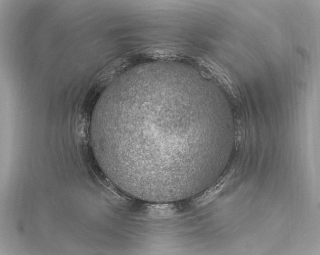 X0000115530281200911201726