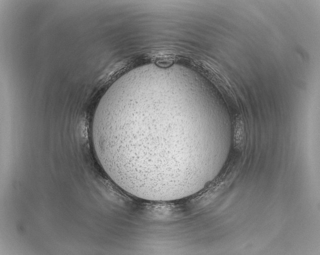 X0000115530282200911201726