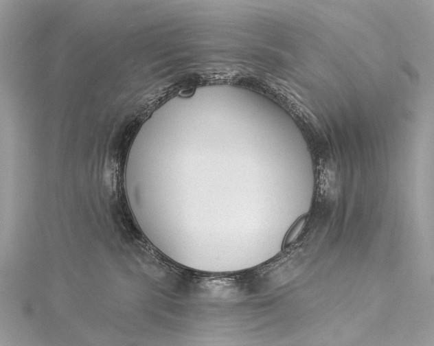 X0000115530283200911201726