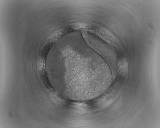 X0000115530284200911201726