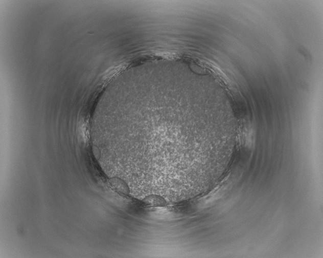 X0000115530285200911201726